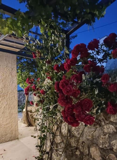 Villa Aiolia Kondoyenádha エクステリア 写真