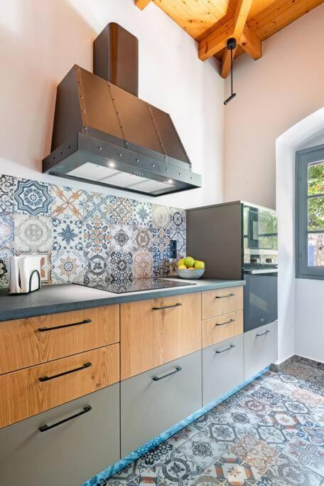 Villa Aiolia Kondoyenádha エクステリア 写真